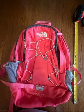 The North Face Pink-Red Jester Daypack